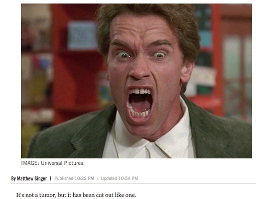 Close up of Arnold Schwarzenegger yelling, above the byline of the Arts and Culture editor.