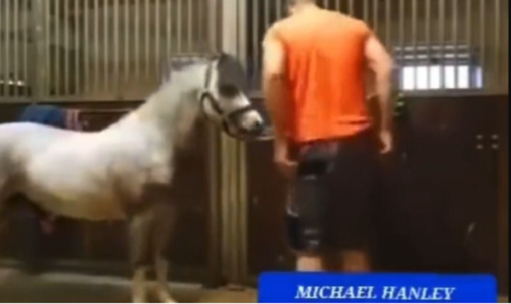 https://deepnet2.blogspot.com/2023/12/michael-hanley-horse-video-mr-hands.html