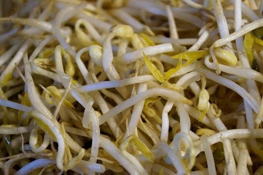 Bean sprouts for cellulite healthy skin