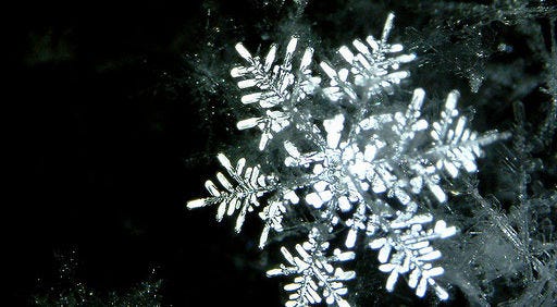 Muchas comunidades de influencers se organizan de formas similares a las que adoptan los cristales de hielo en los copos de nieve. Foto por yellowcloud, en Flickr (3196763319), con licencia CC by