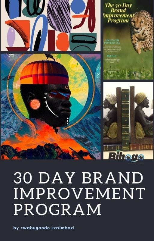 the 30 day brand improvement by bihogoo