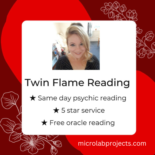 Free twin flame reading