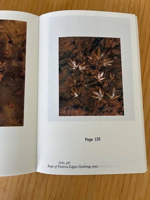 Open book showing artistic photographs, one per page