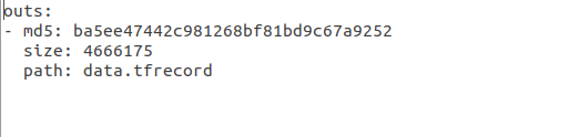 An image showing the content of data.tfrecord.dvc