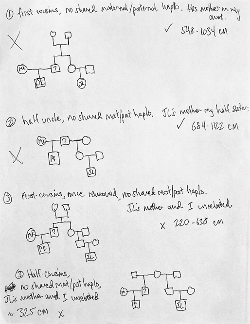 Four hand-drawn family trees.