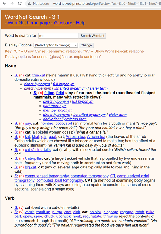 WordNet view of the word “cat”.