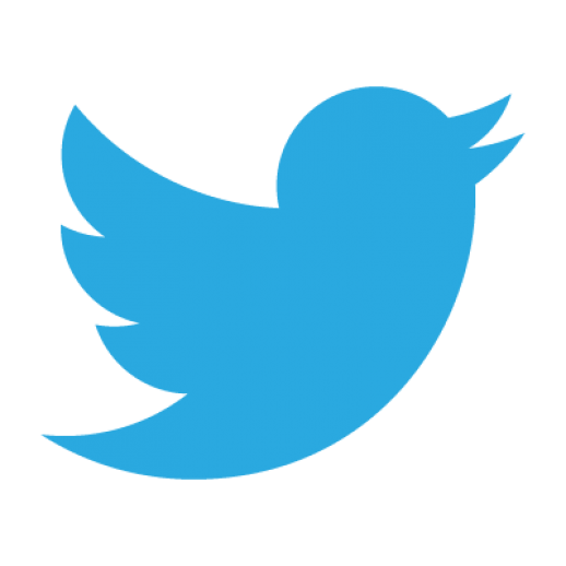 Twitter application logo