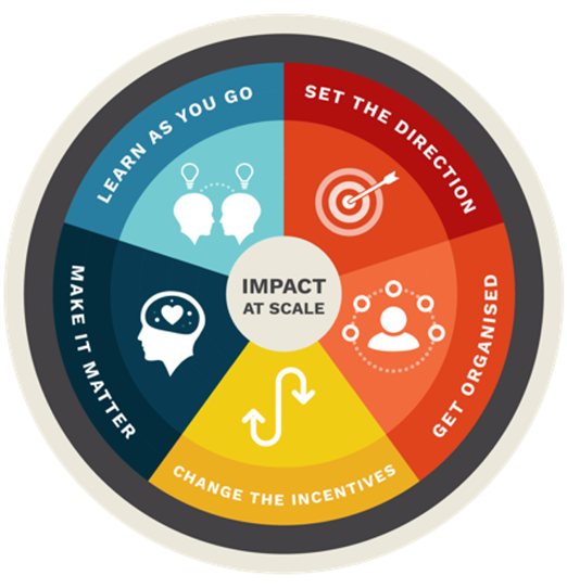 Circular, colourful diagram showing Wasafiri’s Systemcraft framework with five separate wedges.