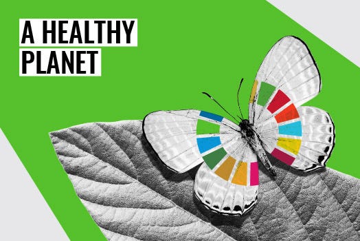 A butterfly picture with the logo of the UN SDGs and the phrase “A healthy planet”.