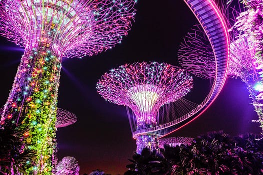 Why Singapore Is A Booming Tech Hub