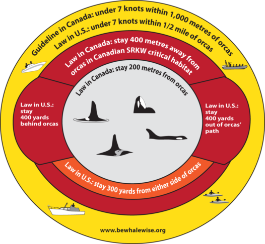 Graphic from Be Whale Wise illustrating the laws and guidelines about boating near orcas in the U.S. and Canada