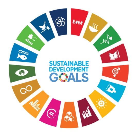 Volunteering And Sustainable Development Goals (SDGs) In Africa