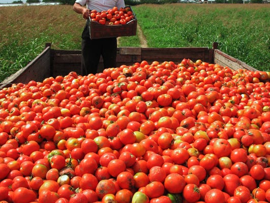 By studying the sample of tomatoes can we able to predict entire tomato harvest. In situations like this, scientists can use inferential statistics to help them make sense of their data.
