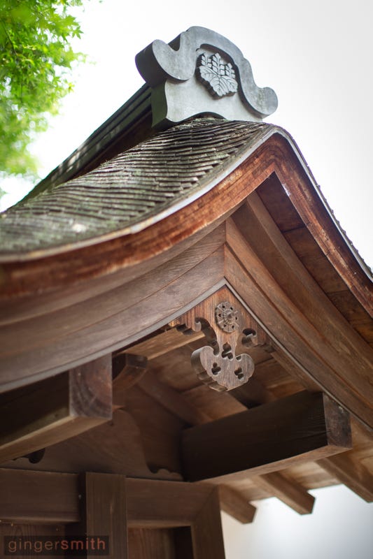 A detail of the wooden roof that meets in a dramatic point with a tree and sky in the background.