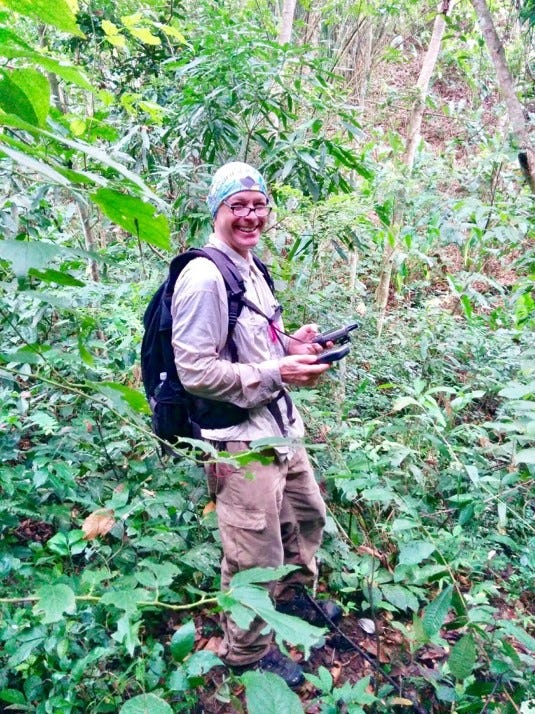 Dr. Frank Rivera-Milán conducting survey of Grenada Dove (Leptotila wellsi).