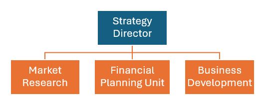 A graphic depicting an organisation chart with the market research, financial planning and business development teams reporting to a strategy director.