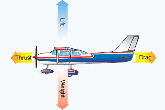 Illustration showing forces of flight.