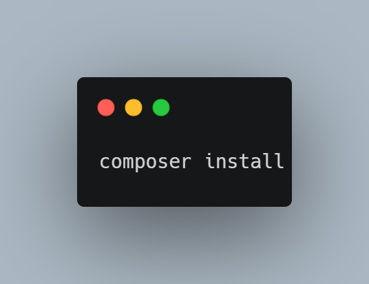 composer install