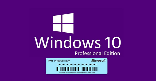 Summer Sale: Windows 10 PRO OEM Keys Under $12
