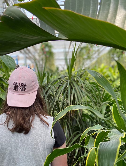 A person walking through a garden centre surrounded by tropical house plants.