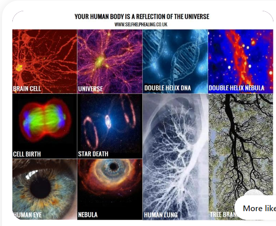 How the human body reflects the universe.