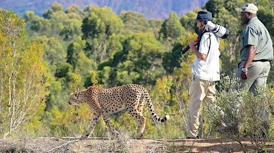 Tenikwa Wildlife Awareness Centre