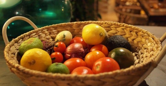 Harvest from Garden