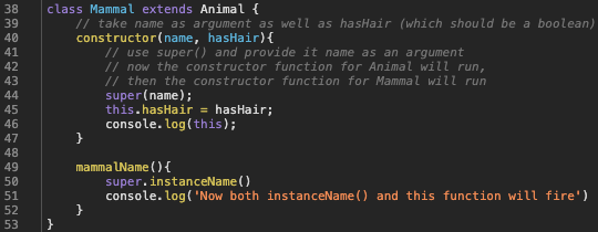 A code snippet showing the Mammal class, which extends the Animal class