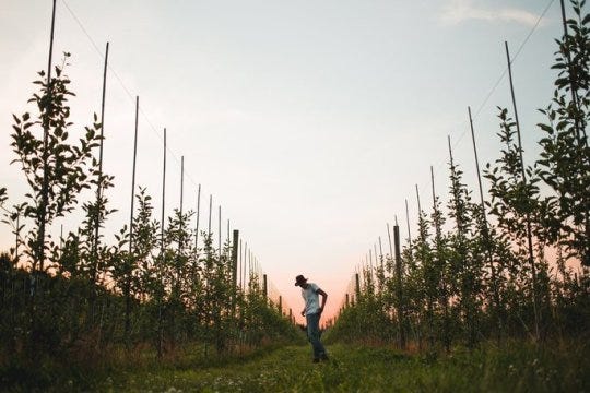 Farm Garden