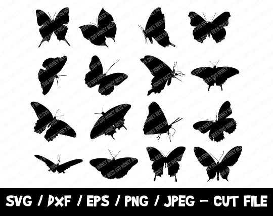 Butterflies svg cut file bundle cricut silhouette vinyl cutting file clipart