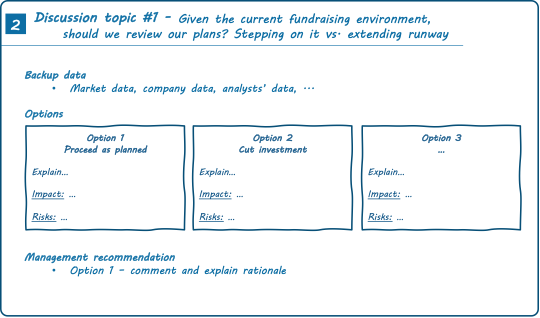 Slide framing discussion topic in a startup board meeting deck, including detailed information on options on the table, corresponding impact and risks’ assessment as well as management recommendation