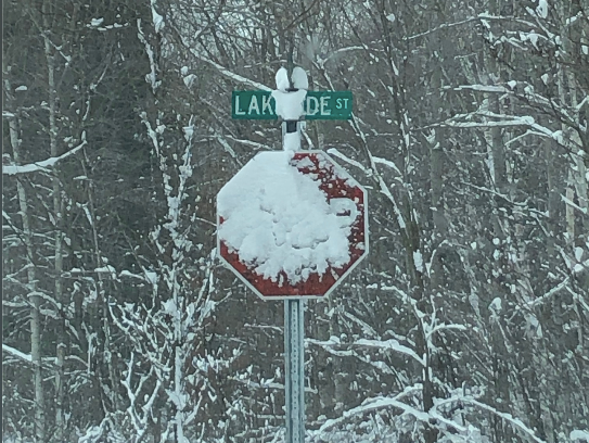 Even if snow covers the text “STOP”, the sign is clearly a red octagonal shape.