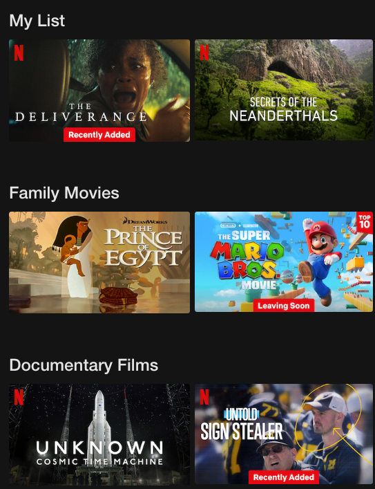 The fourth set of categories on Erin’s desktop Netflix: My List, Family Movies, Documentary Films