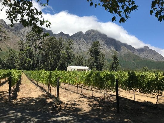 Stony brook vineyards, Franschhoek