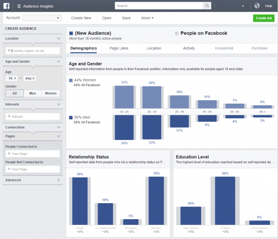 Facebook Audience Insights Demographics