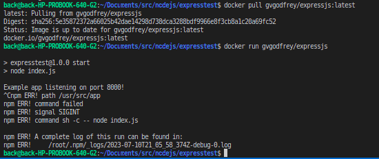 Image above shows the output docker pull and run commands.