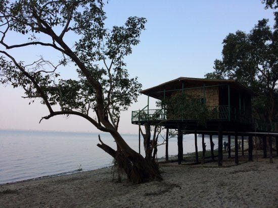 pic Courtsey- tripadvisor