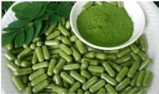 benefits of moringa leaves powder