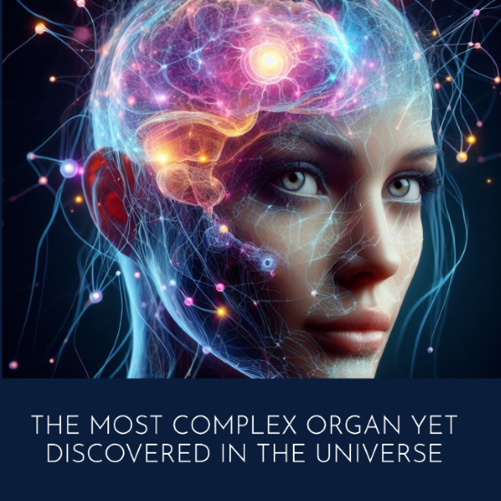 Image illustrating the human brain as the most complex organ yet discovered in the universe