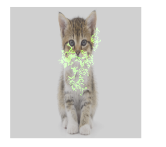 Google Cloud — Introdução à Explicabilidade da AI — Uma foto de um gato com sobreposição de atribuição de recursos representando na foto que parte contribui mais para identificar que era a foto de um gato. Neste caso há uma sobreposição na imagem indicando partes do boca, da orelha e do pescoço do gato.