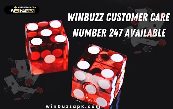 Winbuzz Customer Care Number 247 Available