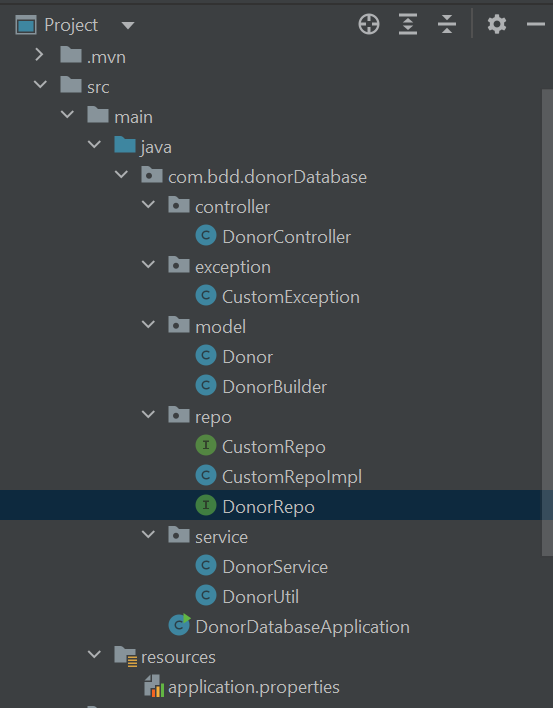 Screenshot of the Project Structure on Intellij