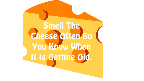 smell the cheese often so you know when its getting old