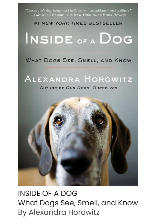 Book about understanding your dog to the next level