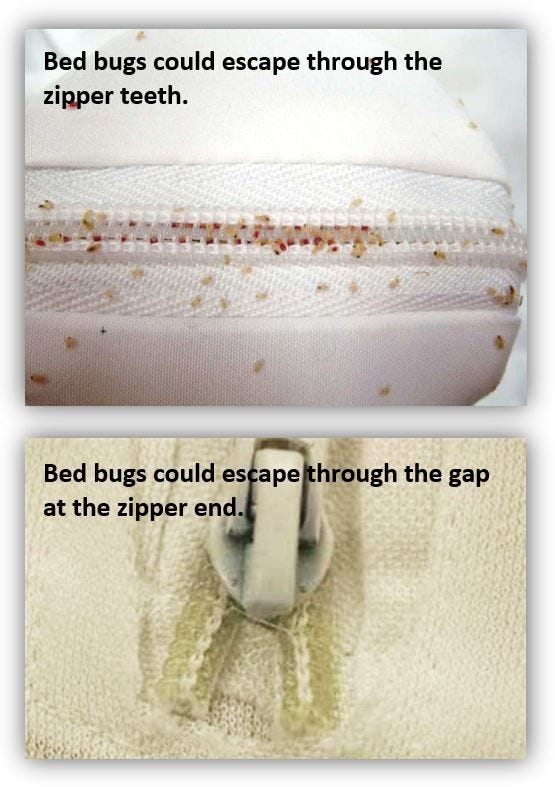 Bed Bugs from Mattress: Eradicate Them Now!