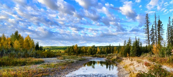 Fall Colours