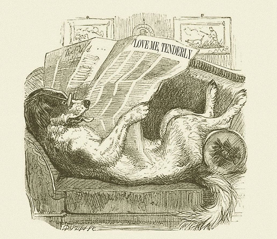 Antique-looking illustration of a dog with glasses lying on a couch, reading a newspaper labeled “Love Me, Tenderly.”