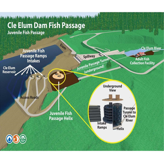 A diagram of the Cle Elum Fish Passage Project facilities showing the river, dam, spillway, and fish passage facility.