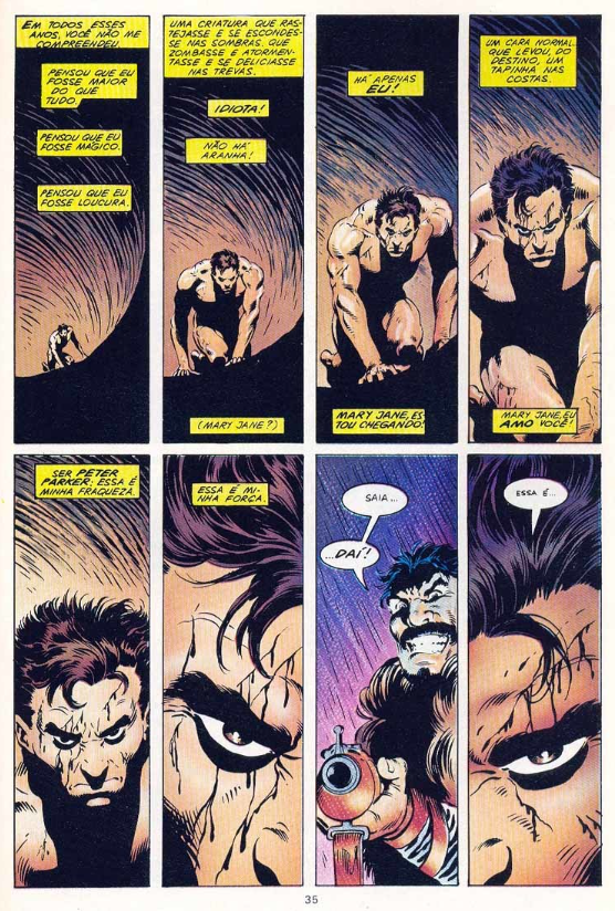 Imagem do quadrinho Última Caçada de Kraven. Em uma alucinação, Peter Parker diz para Kraven, o Caçador, vilão da história, que ele o entendeu errado, e que na verdade não há nenhuma figura mística ou grandiosa por trás do Homem-Aranha. Apenas Peter Parker.