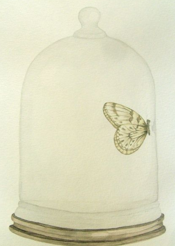 A butterfly in a bell jar